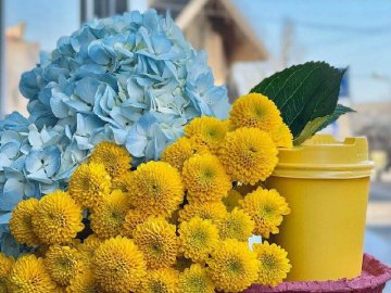 Про скасоване обмеження на пальне та крафтовий хліб: добрі новини від ВолиньPost за 1 липня