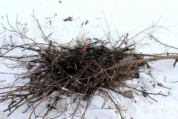У Луцьку голий чоловік стрибнув з 50-метрової висоти. ФОТО