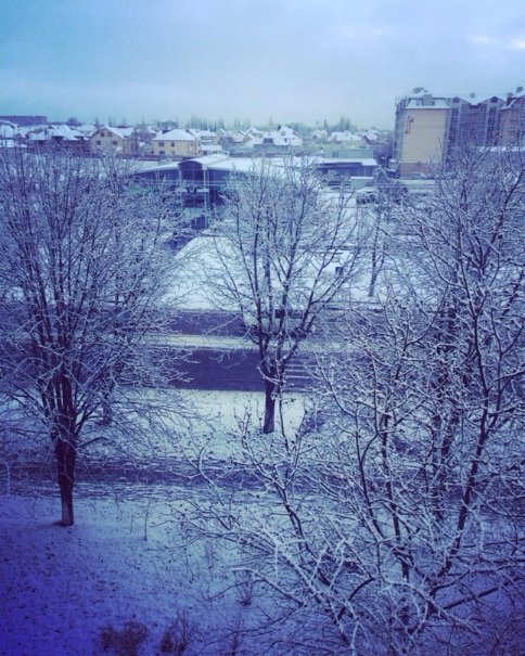 Перший сніг у Луцьку: реакція соцмереж. ФОТО