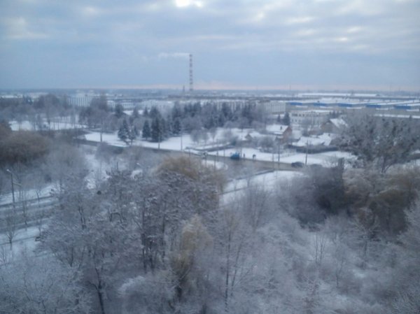 Перший сніг у Луцьку: реакція соцмереж. ФОТО