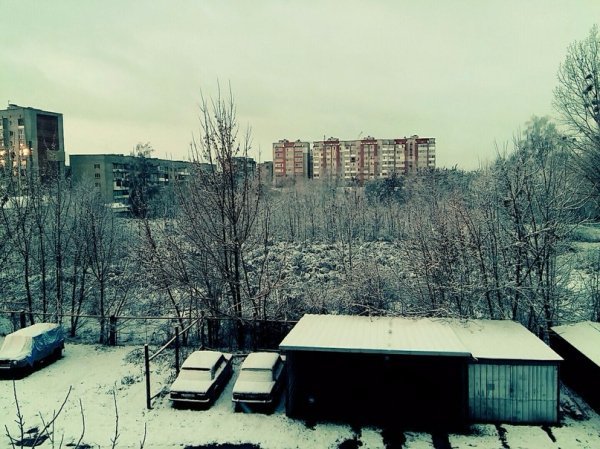 Перший сніг у Луцьку: реакція соцмереж. ФОТО