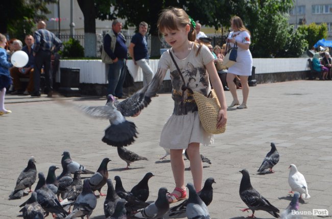 Сімейний фестиваль в Луцьку: як це було. ФОТО