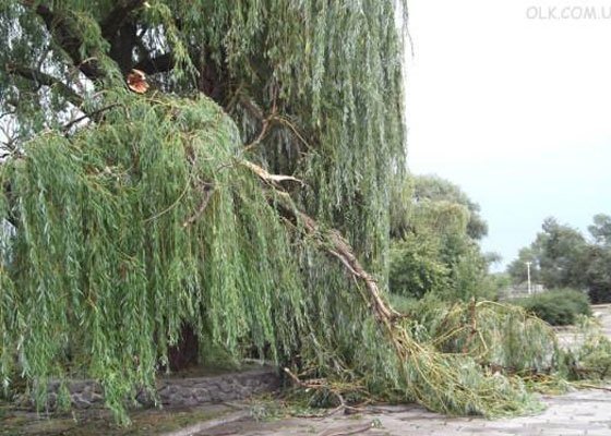 З'явилося відео наслідків буревію у Шацькому районі. ФОТО. ВІДЕО