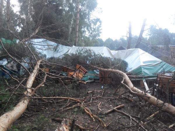 З'явилося відео наслідків буревію у Шацькому районі. ФОТО. ВІДЕО