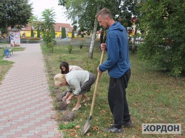 На Волині висадили квіти пам'яті на честь загиблих в АТО. ФОТО