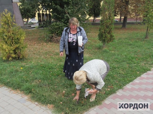 На Волині висадили квіти пам'яті на честь загиблих в АТО. ФОТО