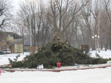 Головну ялинку Нововолинська демонтували. ФОТО