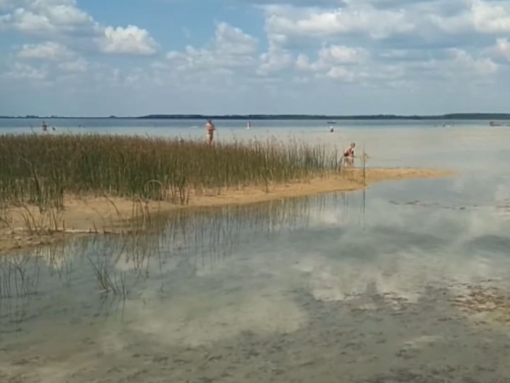 В озері Світязь рівень води знизився попри дощі