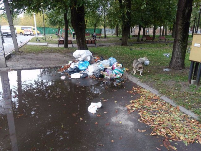 У центрі Ковеля - гори сміття