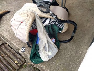 На Рівненщині собака накинувся на новонародженого – хлопчик загинув