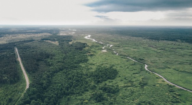 Захопливі світлини волинського озера з висоти. ФОТО