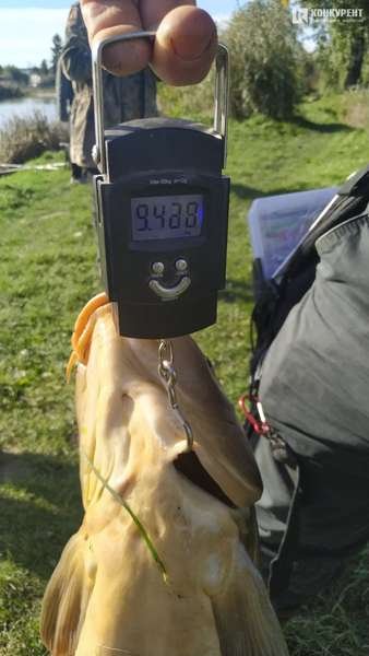 Ситуація на мільйон: у Луцьку чоловік упіймав величезного коропа