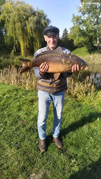 Ситуація на мільйон: у Луцьку чоловік упіймав величезного коропа