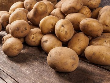 На Волині закордонна картопля дешевша, ніж вітчизняна