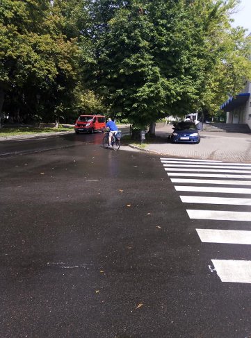 «З плачем доганяло автомобіль»: у Луцьку невідомі викинули цуценя в кущі та втекли. ФОТО