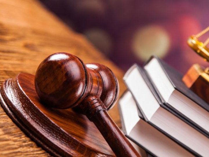 Мертві бджоли не гудуть: у Луцьку жінка судиться з аграрієм через отруєння комах