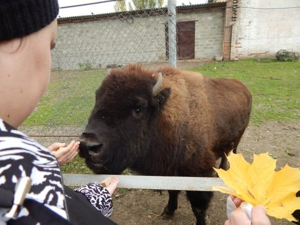 Луцький зоопарк «відчули на дотик». ФОТО