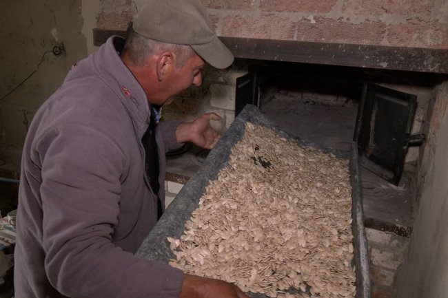 Вирощують у кожній родині: як живе «гарбузове» село на Волині. ВІДЕО