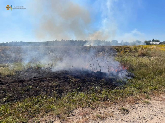 66-річного волинянина притягнули до відповідальності за підпал сухої трави. ФОТО