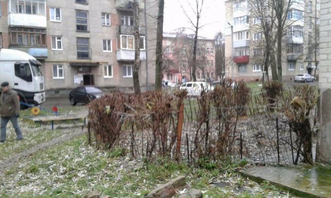 У спальних районах Луцька муніципали прибирали городи