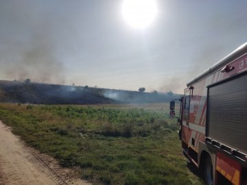 Поблизу Луцька пожежа охопила пів гектара