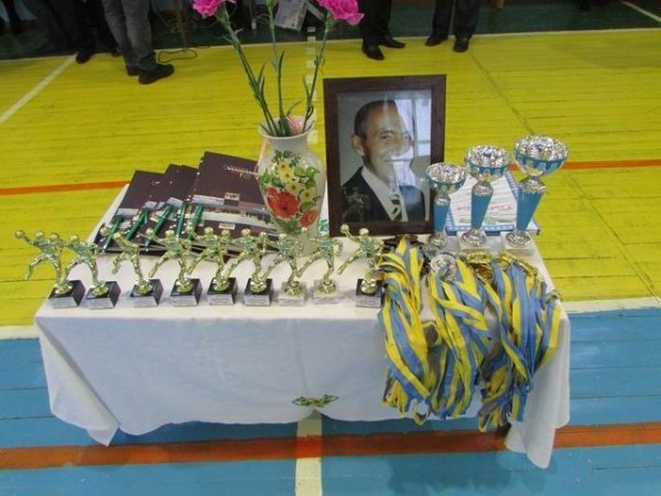 Нововолинськ на три дні став столицею гандболу