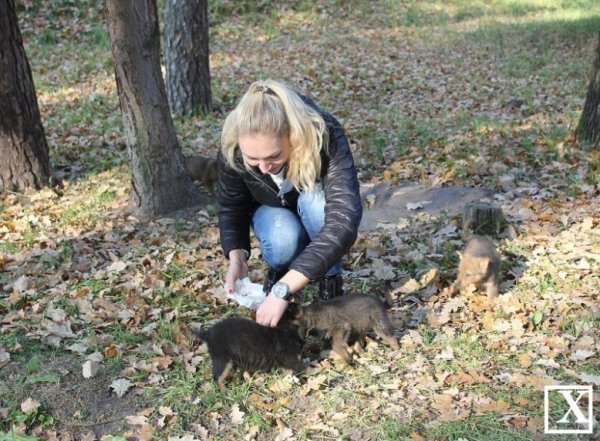 Як проходять навчальні будні майбутніх поліцейських Луцька. ФОТО