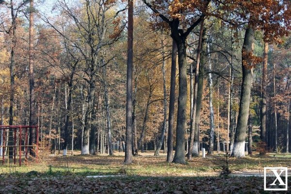 Як проходять навчальні будні майбутніх поліцейських Луцька. ФОТО