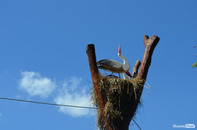 Еко-туризм «за крок» від Луцька: всі стежки ведуть до Воротнева