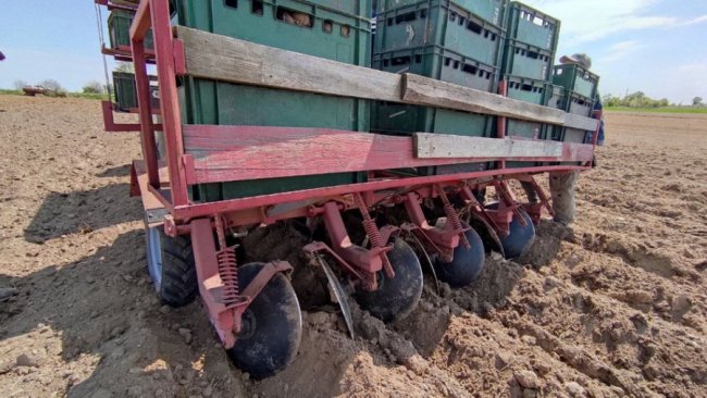 На Волині садять картоплю від волонтерів з Франції. ФОТО. ВІДЕО