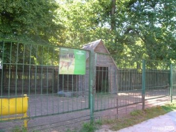 Охорона спала, ‒ головний міліціонер про вбивство ланей у Луцькому зоопарку 