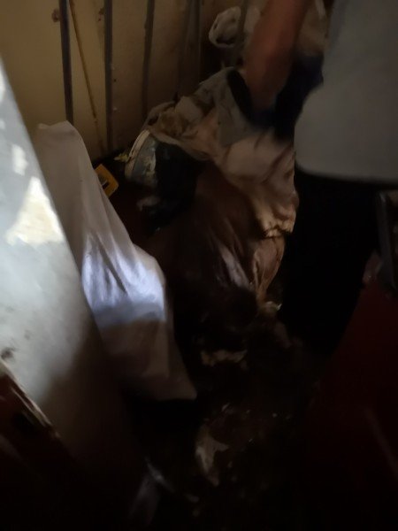 «Таргани завдовжки з палець», – лучанка про квартиру сусідів-нечупар. ФОТО