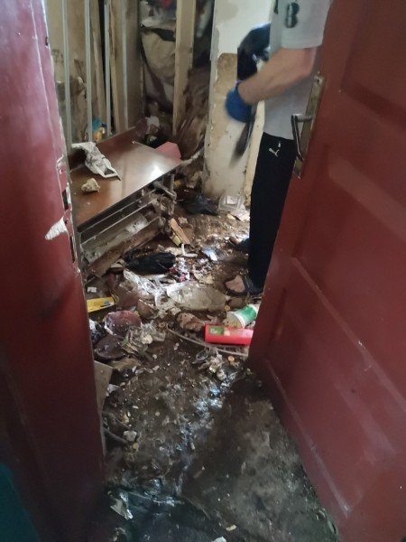 «Таргани завдовжки з палець», – лучанка про квартиру сусідів-нечупар. ФОТО