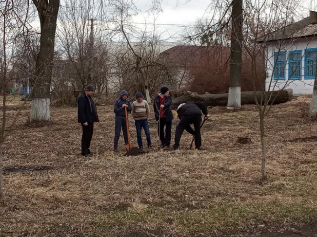 На Волині старшокласники висадили фруктовий сад на шкільному подвір'ї. ФОТО