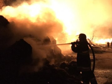 На Хмельниччині згоріло 1200 тонн промислових конопель