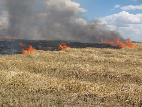 Волинь у вогні. ФОТО