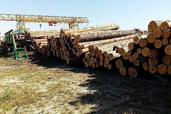 На Волині правоохоронці вилучили неузаконену деревину. ФОТО
