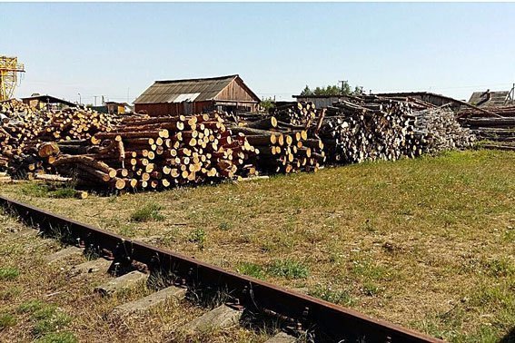 На Волині правоохоронці вилучили неузаконену деревину. ФОТО