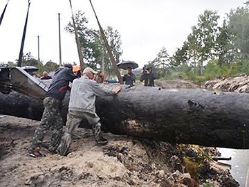 Колекціонери хочуть купити унікальний волинський човен за 3 мільйони