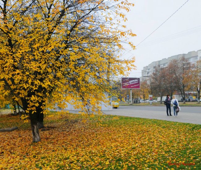 «Останнє золото»: фотограф показав осінню красу Луцька