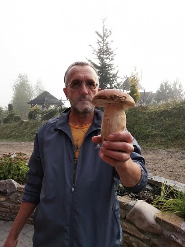 Волинський музикант назбирав гори грибів. ФОТО