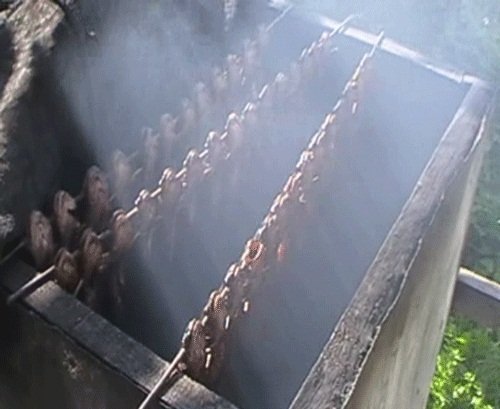 На Волині викрили підпільний рибний цех. ФОТО