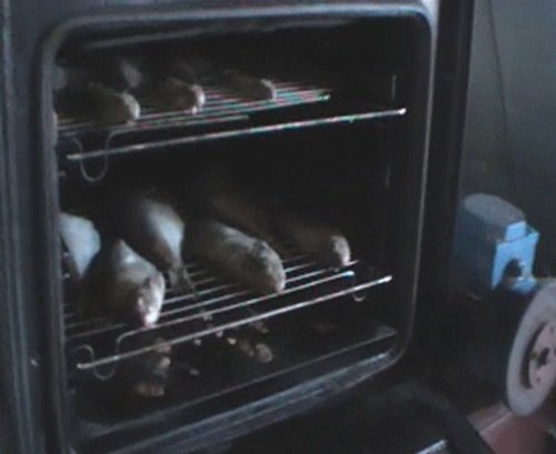 На Волині викрили підпільний рибний цех. ФОТО