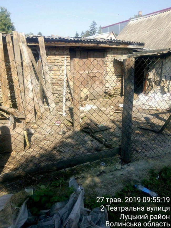 Гноївки, свині та сміття: що мешканці однієї з вулиць Луцька зберігають на своїх подвір'ях. ФОТО