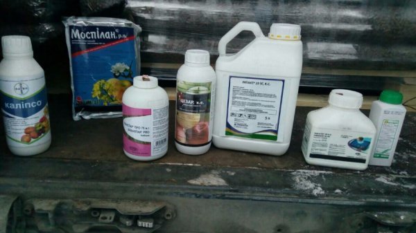 Волинські прикордонники затримали чоловіка з контрабандною «хімією»