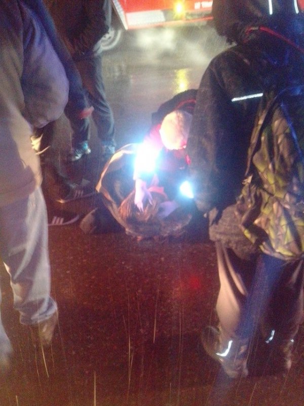 Аварія в Луцьку: дівчина потрапила під колеса Geely на «зебрі»