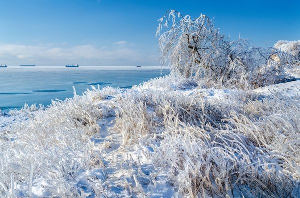 Фотовиставка Олександра Калініна