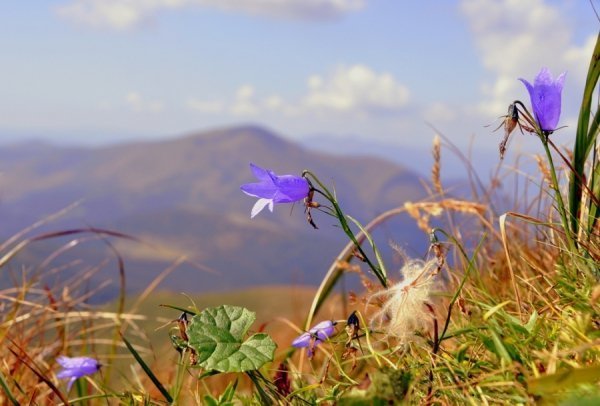 Фотовиставка Павла Березюка