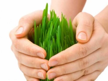 Переваги страхування врожаю для фермерів*