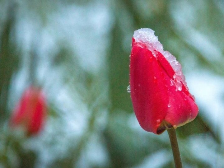 До України повертаються заморозки та сніг: синоптики назвали точну дату нової хвилі похолодання